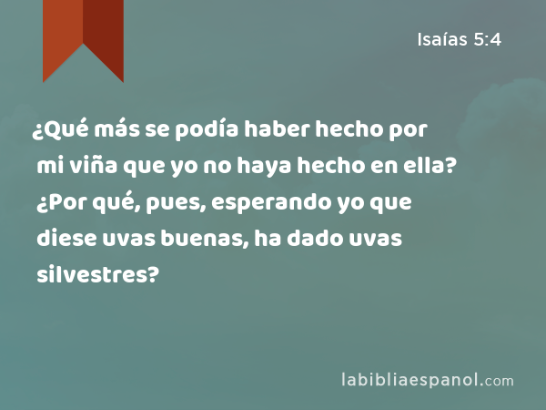 ¿Qué más se podía haber hecho por mi viña que yo no haya hecho en ella? ¿Por qué, pues, esperando yo que diese uvas buenas, ha dado uvas silvestres? - Isaías 5:4