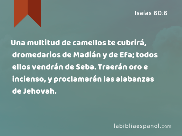 Una multitud de camellos te cubrirá, dromedarios de Madián y de Efa; todos ellos vendrán de Seba. Traerán oro e incienso, y proclamarán las alabanzas de Jehovah. - Isaías 60:6