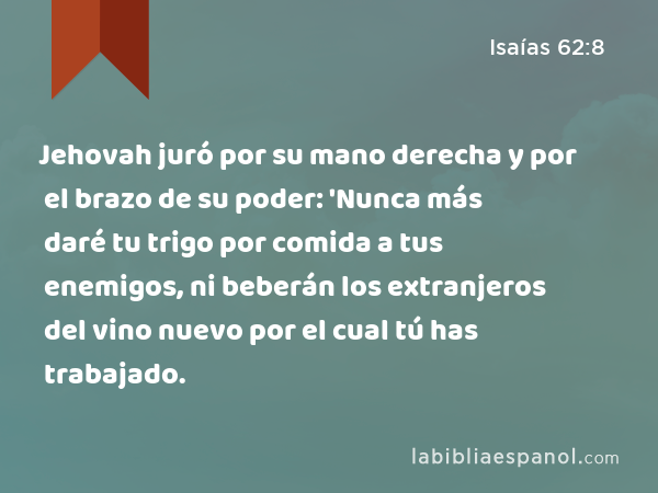 Jehovah juró por su mano derecha y por el brazo de su poder: 'Nunca más daré tu trigo por comida a tus enemigos, ni beberán los extranjeros del vino nuevo por el cual tú has trabajado. - Isaías 62:8