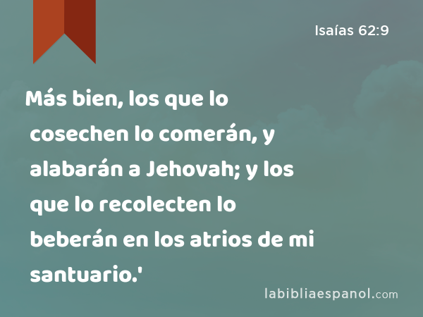 Más bien, los que lo cosechen lo comerán, y alabarán a Jehovah; y los que lo recolecten lo beberán en los atrios de mi santuario.' - Isaías 62:9