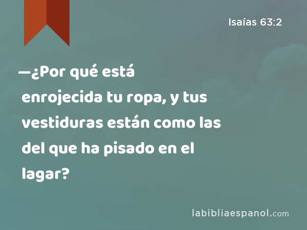 —¿Por qué está enrojecida tu ropa, y tus vestiduras están como las del que ha pisado en el lagar? - Isaías 63:2