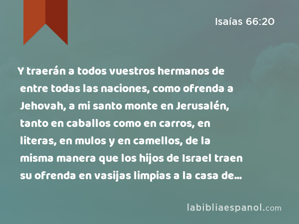 Y traerán a todos vuestros hermanos de entre todas las naciones, como ofrenda a Jehovah, a mi santo monte en Jerusalén, tanto en caballos como en carros, en literas, en mulos y en camellos, de la misma manera que los hijos de Israel traen su ofrenda en vasijas limpias a la casa de Jehovah, ha dicho Jehovah. - Isaías 66:20