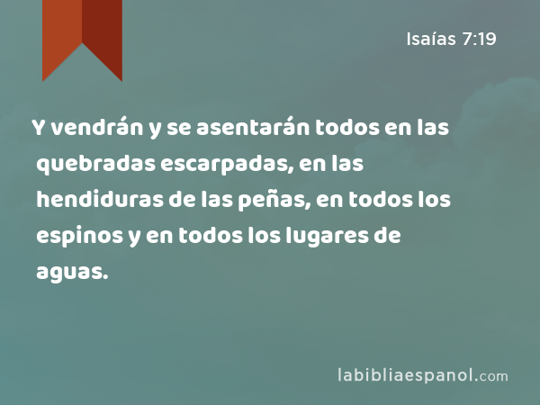 Y vendrán y se asentarán todos en las quebradas escarpadas, en las hendiduras de las peñas, en todos los espinos y en todos los lugares de aguas. - Isaías 7:19