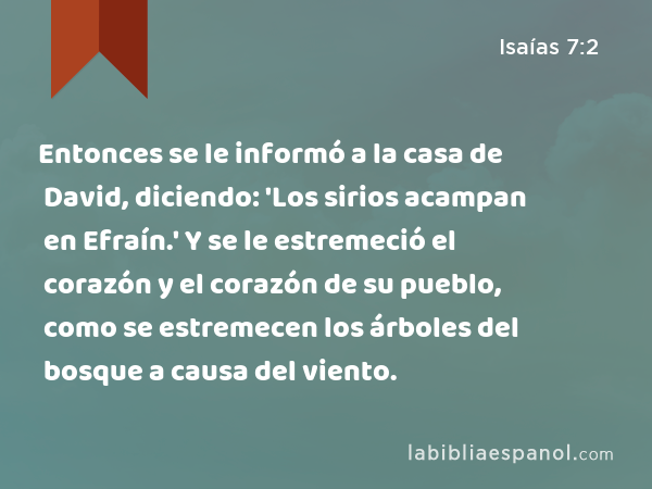 Entonces se le informó a la casa de David, diciendo: 'Los sirios acampan en Efraín.' Y se le estremeció el corazón y el corazón de su pueblo, como se estremecen los árboles del bosque a causa del viento. - Isaías 7:2