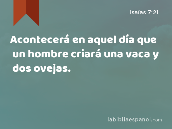 Acontecerá en aquel día que un hombre criará una vaca y dos ovejas. - Isaías 7:21