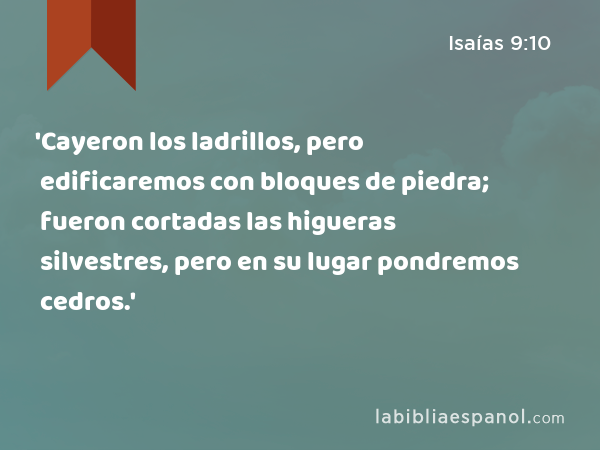 'Cayeron los ladrillos, pero edificaremos con bloques de piedra; fueron cortadas las higueras silvestres, pero en su lugar pondremos cedros.' - Isaías 9:10