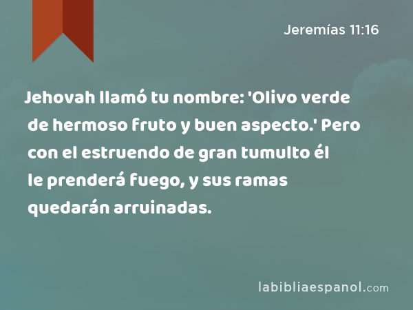 Jehovah llamó tu nombre: 'Olivo verde de hermoso fruto y buen aspecto.' Pero con el estruendo de gran tumulto él le prenderá fuego, y sus ramas quedarán arruinadas. - Jeremías 11:16