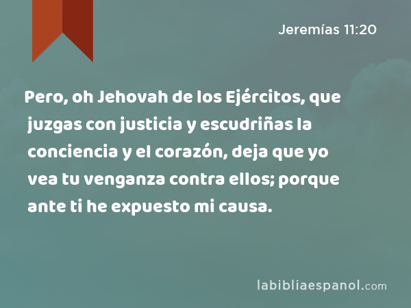 Pero, oh Jehovah de los Ejércitos, que juzgas con justicia y escudriñas la conciencia y el corazón, deja que yo vea tu venganza contra ellos; porque ante ti he expuesto mi causa. - Jeremías 11:20