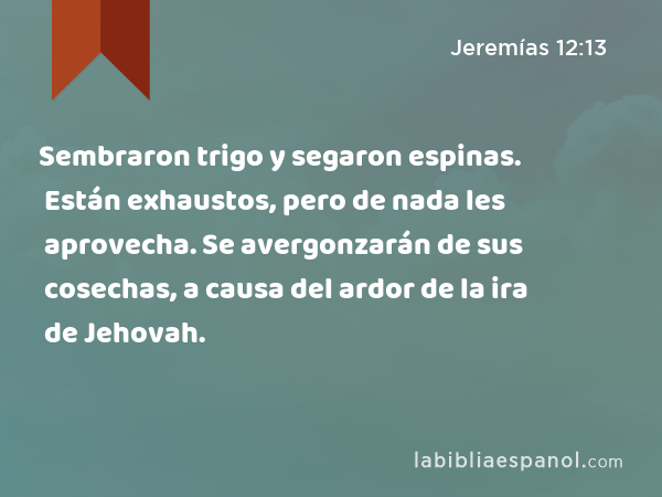 Sembraron trigo y segaron espinas. Están exhaustos, pero de nada les aprovecha. Se avergonzarán de sus cosechas, a causa del ardor de la ira de Jehovah. - Jeremías 12:13