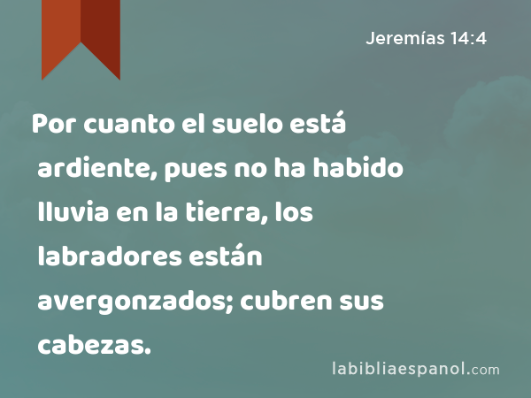 Por cuanto el suelo está ardiente, pues no ha habido lluvia en la tierra, los labradores están avergonzados; cubren sus cabezas. - Jeremías 14:4