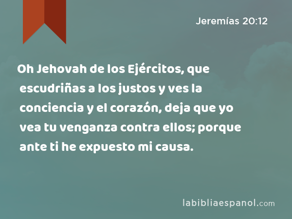 Oh Jehovah de los Ejércitos, que escudriñas a los justos y ves la conciencia y el corazón, deja que yo vea tu venganza contra ellos; porque ante ti he expuesto mi causa. - Jeremías 20:12