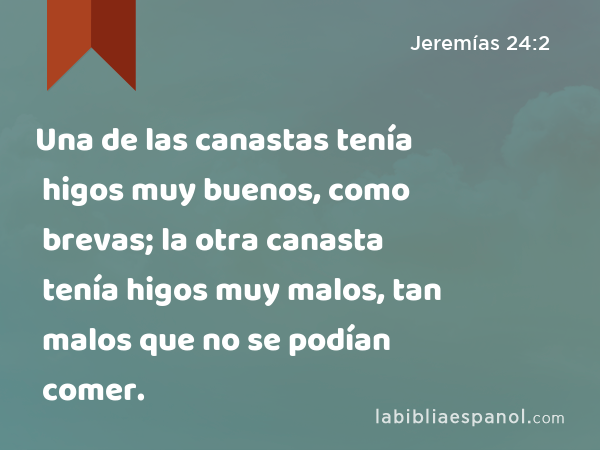 Una de las canastas tenía higos muy buenos, como brevas; la otra canasta tenía higos muy malos, tan malos que no se podían comer. - Jeremías 24:2