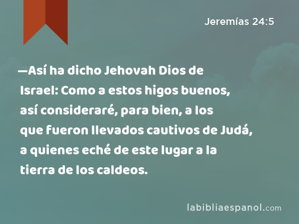 —Así ha dicho Jehovah Dios de Israel: Como a estos higos buenos, así consideraré, para bien, a los que fueron llevados cautivos de Judá, a quienes eché de este lugar a la tierra de los caldeos. - Jeremías 24:5