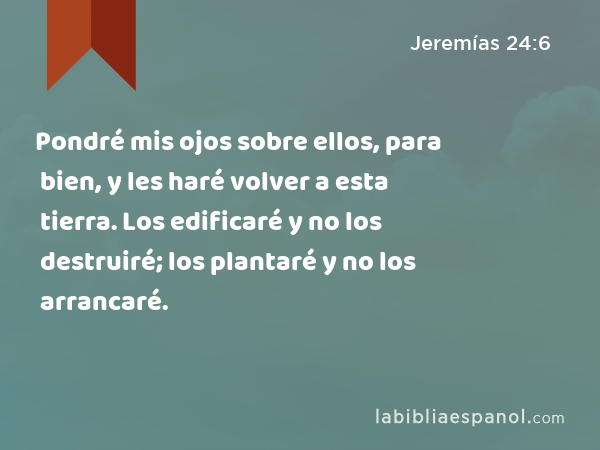 Pondré mis ojos sobre ellos, para bien, y les haré volver a esta tierra. Los edificaré y no los destruiré; los plantaré y no los arrancaré. - Jeremías 24:6