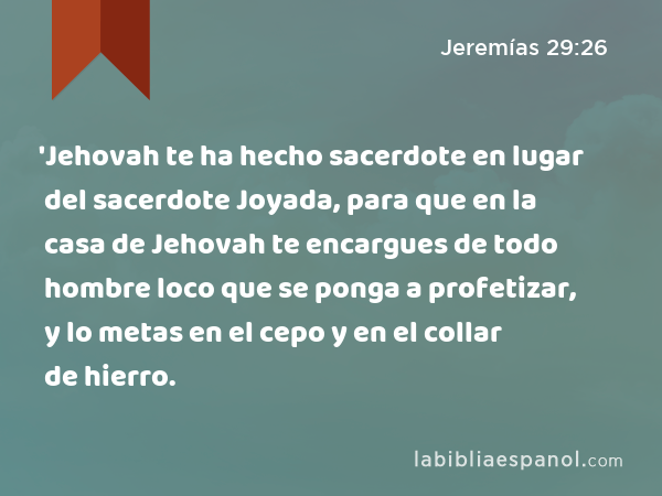 'Jehovah te ha hecho sacerdote en lugar del sacerdote Joyada, para que en la casa de Jehovah te encargues de todo hombre loco que se ponga a profetizar, y lo metas en el cepo y en el collar de hierro. - Jeremías 29:26