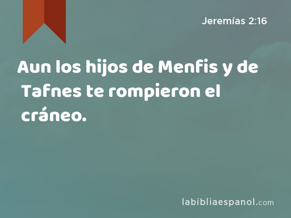 Aun los hijos de Menfis y de Tafnes te rompieron el cráneo. - Jeremías 2:16