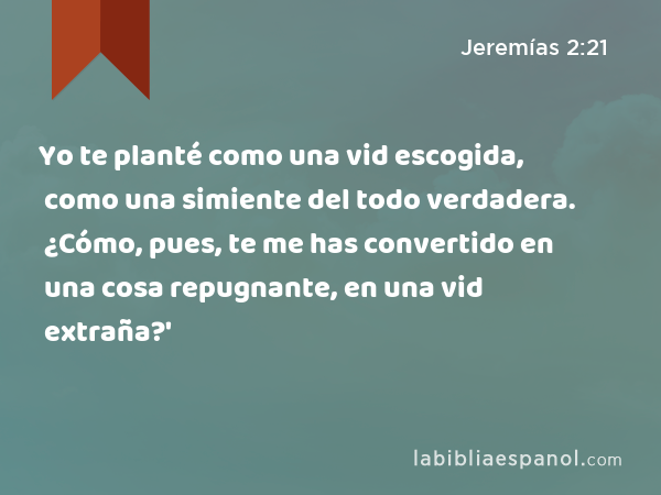 Yo te planté como una vid escogida, como una simiente del todo verdadera. ¿Cómo, pues, te me has convertido en una cosa repugnante, en una vid extraña?' - Jeremías 2:21