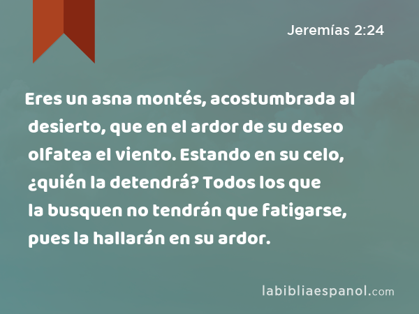 Eres un asna montés, acostumbrada al desierto, que en el ardor de su deseo olfatea el viento. Estando en su celo, ¿quién la detendrá? Todos los que la busquen no tendrán que fatigarse, pues la hallarán en su ardor. - Jeremías 2:24