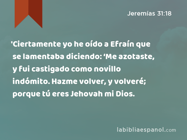 'Ciertamente yo he oído a Efraín que se lamentaba diciendo: ‘Me azotaste, y fui castigado como novillo indómito. Hazme volver, y volveré; porque tú eres Jehovah mi Dios. - Jeremías 31:18