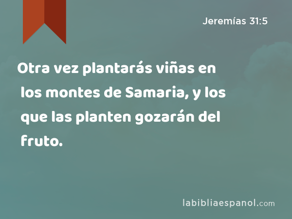 Otra vez plantarás viñas en los montes de Samaria, y los que las planten gozarán del fruto. - Jeremías 31:5