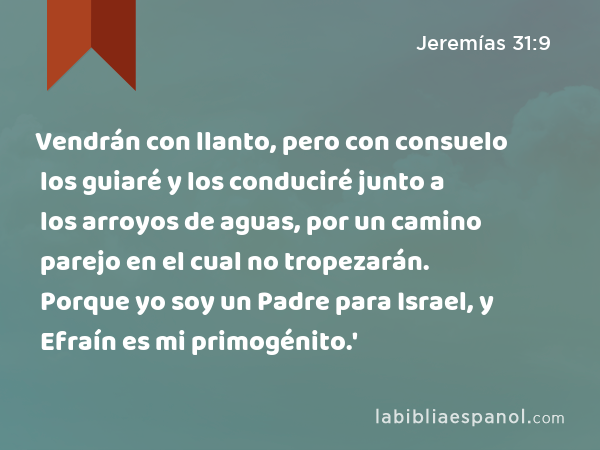 Vendrán con llanto, pero con consuelo los guiaré y los conduciré junto a los arroyos de aguas, por un camino parejo en el cual no tropezarán. Porque yo soy un Padre para Israel, y Efraín es mi primogénito.' - Jeremías 31:9