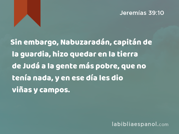 Sin embargo, Nabuzaradán, capitán de la guardia, hizo quedar en la tierra de Judá a la gente más pobre, que no tenía nada, y en ese día les dio viñas y campos. - Jeremías 39:10
