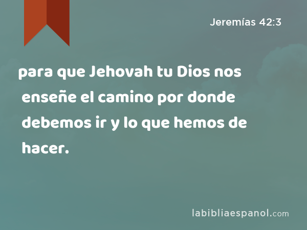 para que Jehovah tu Dios nos enseñe el camino por donde debemos ir y lo que hemos de hacer. - Jeremías 42:3