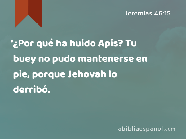 '¿Por qué ha huido Apis? Tu buey no pudo mantenerse en pie, porque Jehovah lo derribó. - Jeremías 46:15