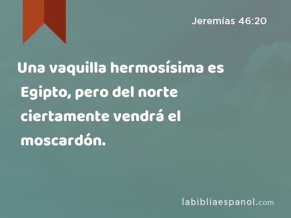 Una vaquilla hermosísima es Egipto, pero del norte ciertamente vendrá el moscardón. - Jeremías 46:20