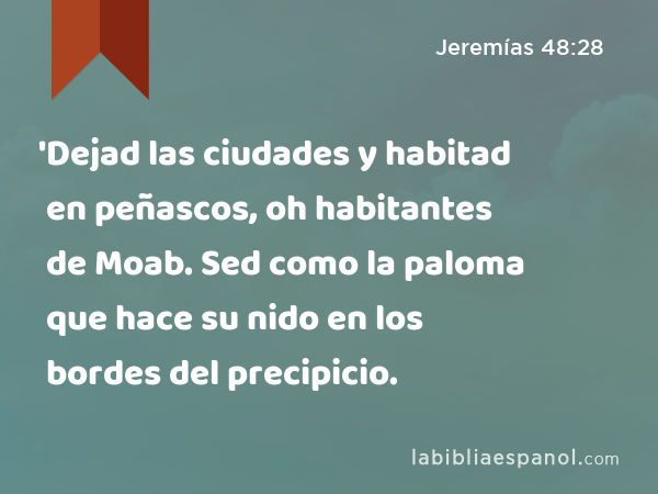 'Dejad las ciudades y habitad en peñascos, oh habitantes de Moab. Sed como la paloma que hace su nido en los bordes del precipicio. - Jeremías 48:28