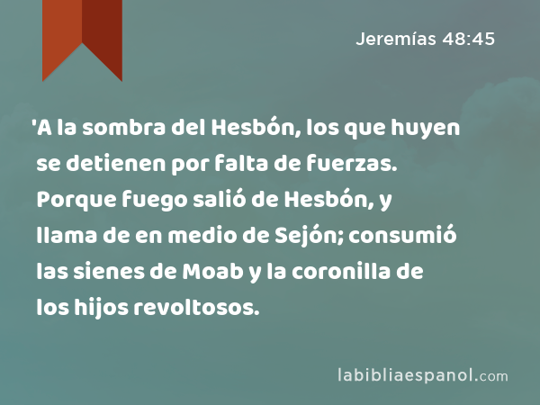 'A la sombra del Hesbón, los que huyen se detienen por falta de fuerzas. Porque fuego salió de Hesbón, y llama de en medio de Sejón; consumió las sienes de Moab y la coronilla de los hijos revoltosos. - Jeremías 48:45