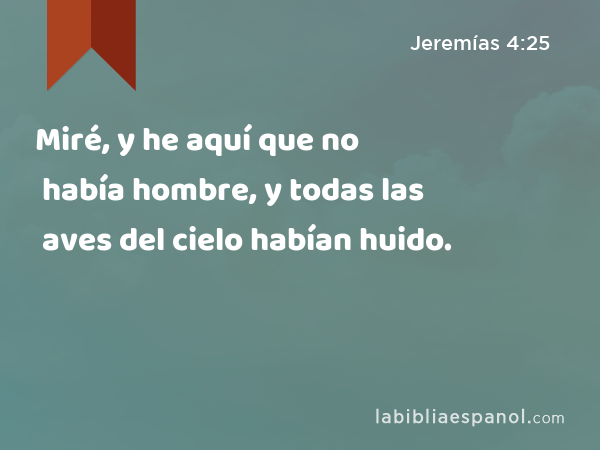 Miré, y he aquí que no había hombre, y todas las aves del cielo habían huido. - Jeremías 4:25