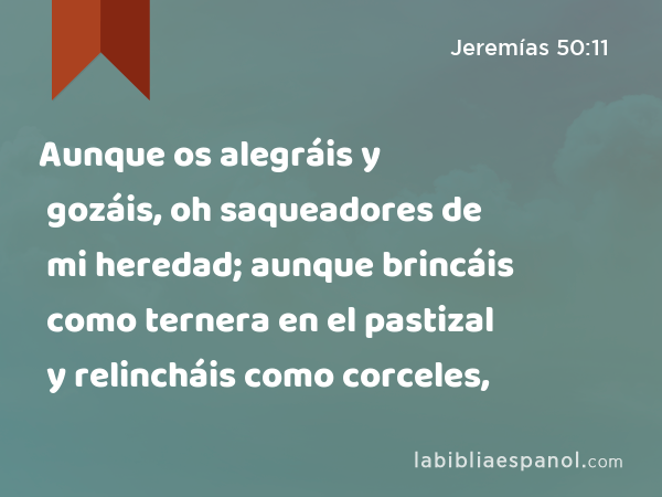 Aunque os alegráis y gozáis, oh saqueadores de mi heredad; aunque brincáis como ternera en el pastizal y relincháis como corceles, - Jeremías 50:11