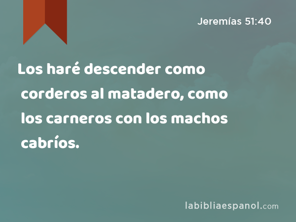 Los haré descender como corderos al matadero, como los carneros con los machos cabríos. - Jeremías 51:40