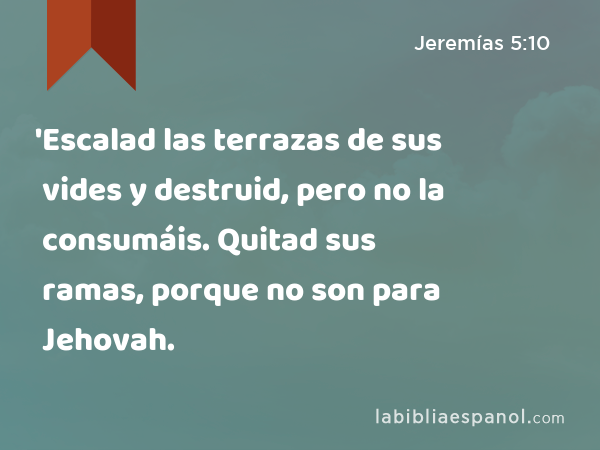 'Escalad las terrazas de sus vides y destruid, pero no la consumáis. Quitad sus ramas, porque no son para Jehovah. - Jeremías 5:10