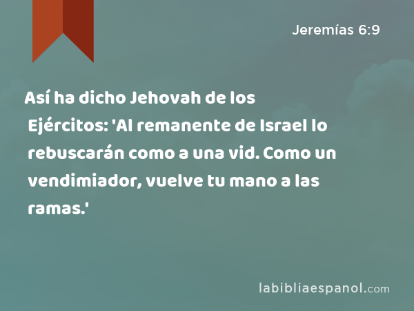 Así ha dicho Jehovah de los Ejércitos: 'Al remanente de Israel lo rebuscarán como a una vid. Como un vendimiador, vuelve tu mano a las ramas.' - Jeremías 6:9