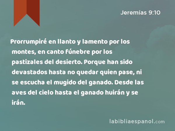 Prorrumpiré en llanto y lamento por los montes, en canto fúnebre por los pastizales del desierto. Porque han sido devastados hasta no quedar quien pase, ni se escucha el mugido del ganado. Desde las aves del cielo hasta el ganado huirán y se irán. - Jeremías 9:10