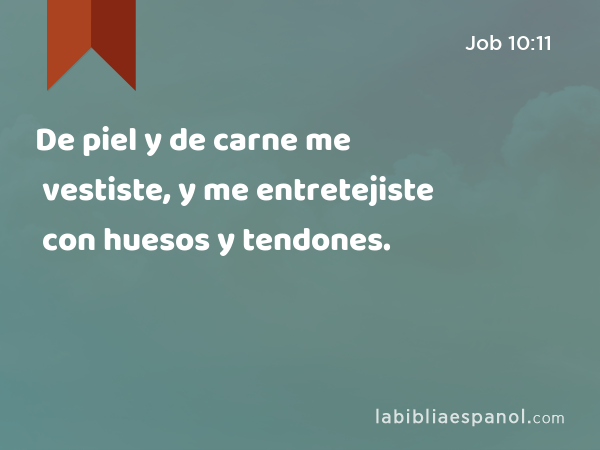 De piel y de carne me vestiste, y me entretejiste con huesos y tendones. - Job 10:11