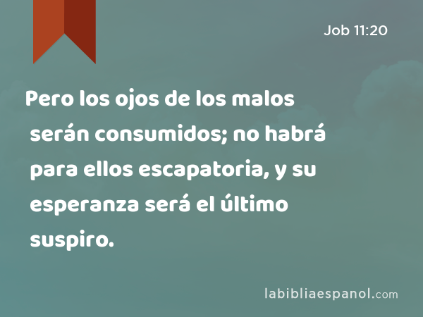 Pero los ojos de los malos serán consumidos; no habrá para ellos escapatoria, y su esperanza será el último suspiro. - Job 11:20