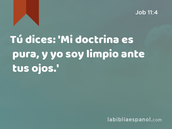 Tú dices: 'Mi doctrina es pura, y yo soy limpio ante tus ojos.' - Job 11:4