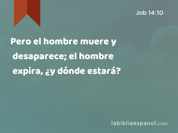 Pero el hombre muere y desaparece; el hombre expira, ¿y dónde estará? - Job 14:10