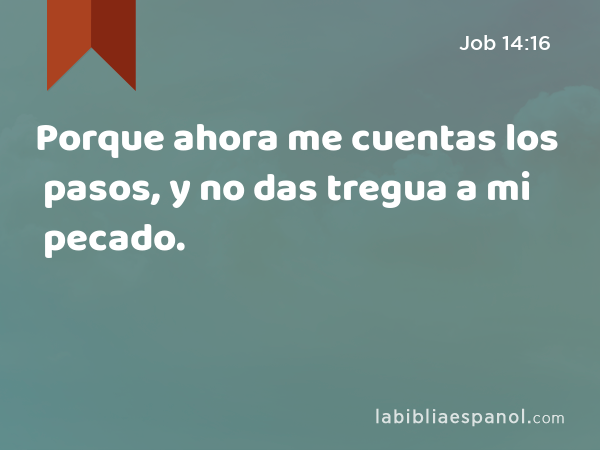 Porque ahora me cuentas los pasos, y no das tregua a mi pecado. - Job 14:16