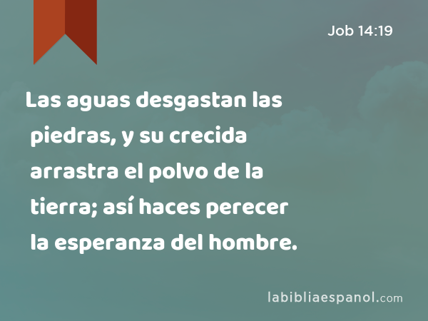 Las aguas desgastan las piedras, y su crecida arrastra el polvo de la tierra; así haces perecer la esperanza del hombre. - Job 14:19