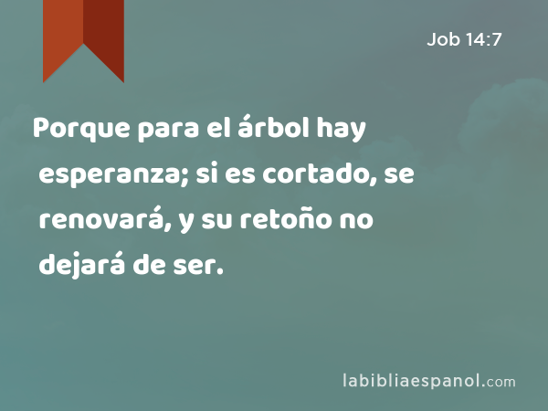 Porque para el árbol hay esperanza; si es cortado, se renovará, y su retoño no dejará de ser. - Job 14:7