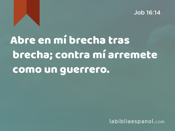 Abre en mí brecha tras brecha; contra mí arremete como un guerrero. - Job 16:14