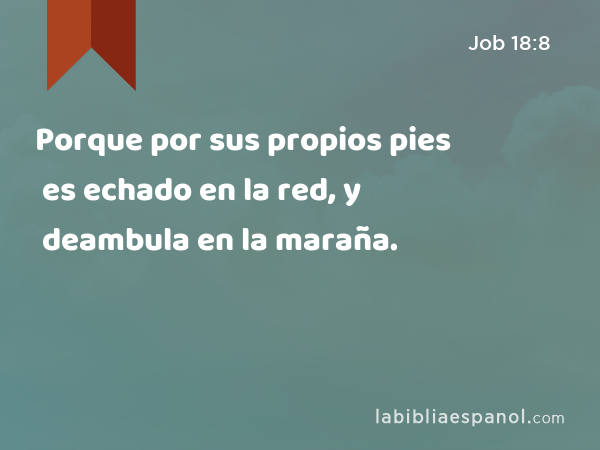 Porque por sus propios pies es echado en la red, y deambula en la maraña. - Job 18:8