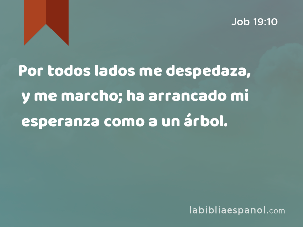 Por todos lados me despedaza, y me marcho; ha arrancado mi esperanza como a un árbol. - Job 19:10