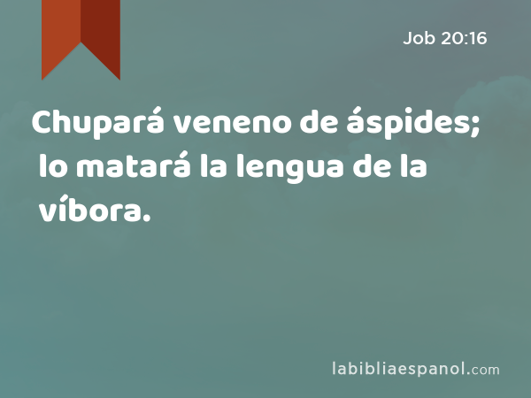 Chupará veneno de áspides; lo matará la lengua de la víbora. - Job 20:16