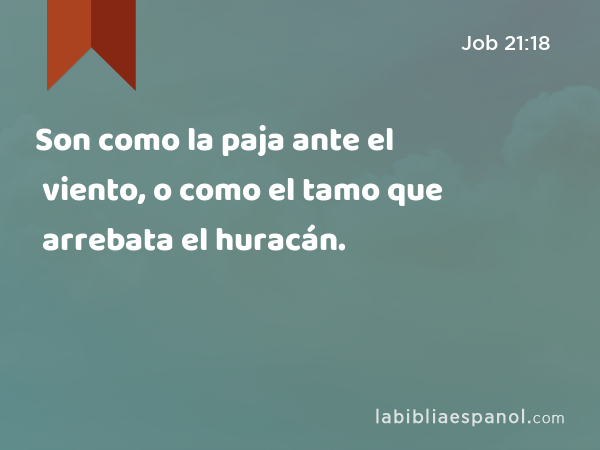 Son como la paja ante el viento, o como el tamo que arrebata el huracán. - Job 21:18