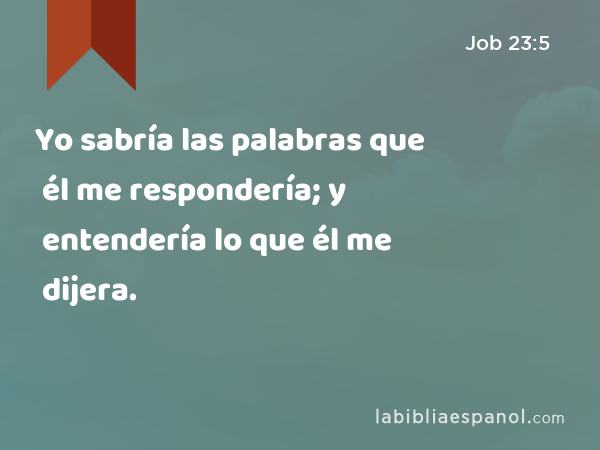 Yo sabría las palabras que él me respondería; y entendería lo que él me dijera. - Job 23:5